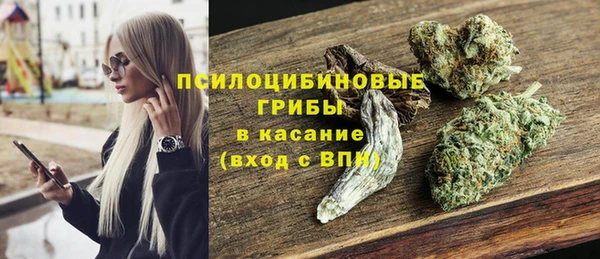 Альфа ПВП Карталы