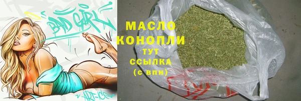 скорость Каменка
