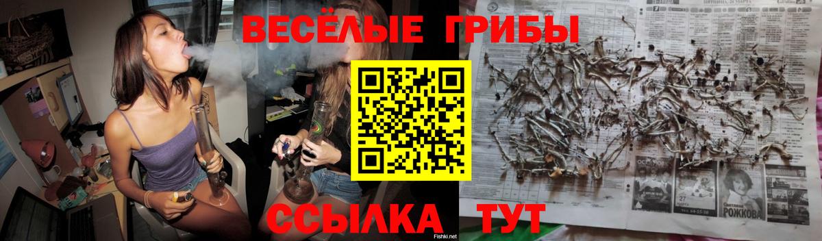 Галлюциногенные грибы мухоморы  Вход с VPN  Псилоцибиновые грибы GOLDEN TEACHER  Карталы 